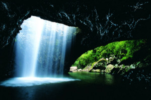 Waitomo Glowworm Caves