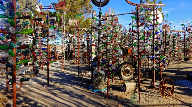 Bottle Tree Ranch