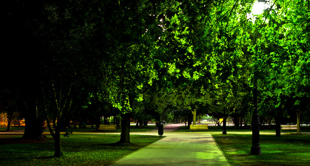 Stay safe in a park at night