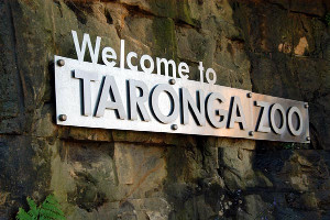 Taronga Zoo